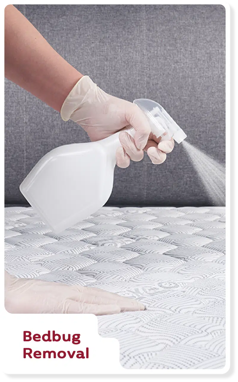 Service Step 6